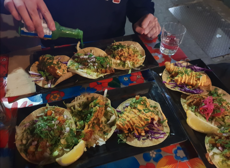 little hop 003 768x563