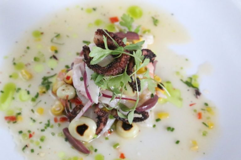 the mixto ceviche 1 768x512